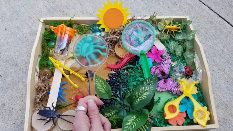 May include: A wooden tray filled with various items for a bug themed sensory bin. The tray includes a magnifying glass, a butterfly, a ladybird, a caterpillar, a spider, a net, and a pair of scissors.
