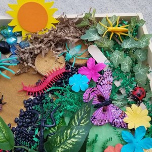 May include: A wooden tray filled with various items for a nature-themed sensory bin. The tray includes a yellow sun, green leaves, a red centipede, black beans, a purple butterfly, and colourful flowers.