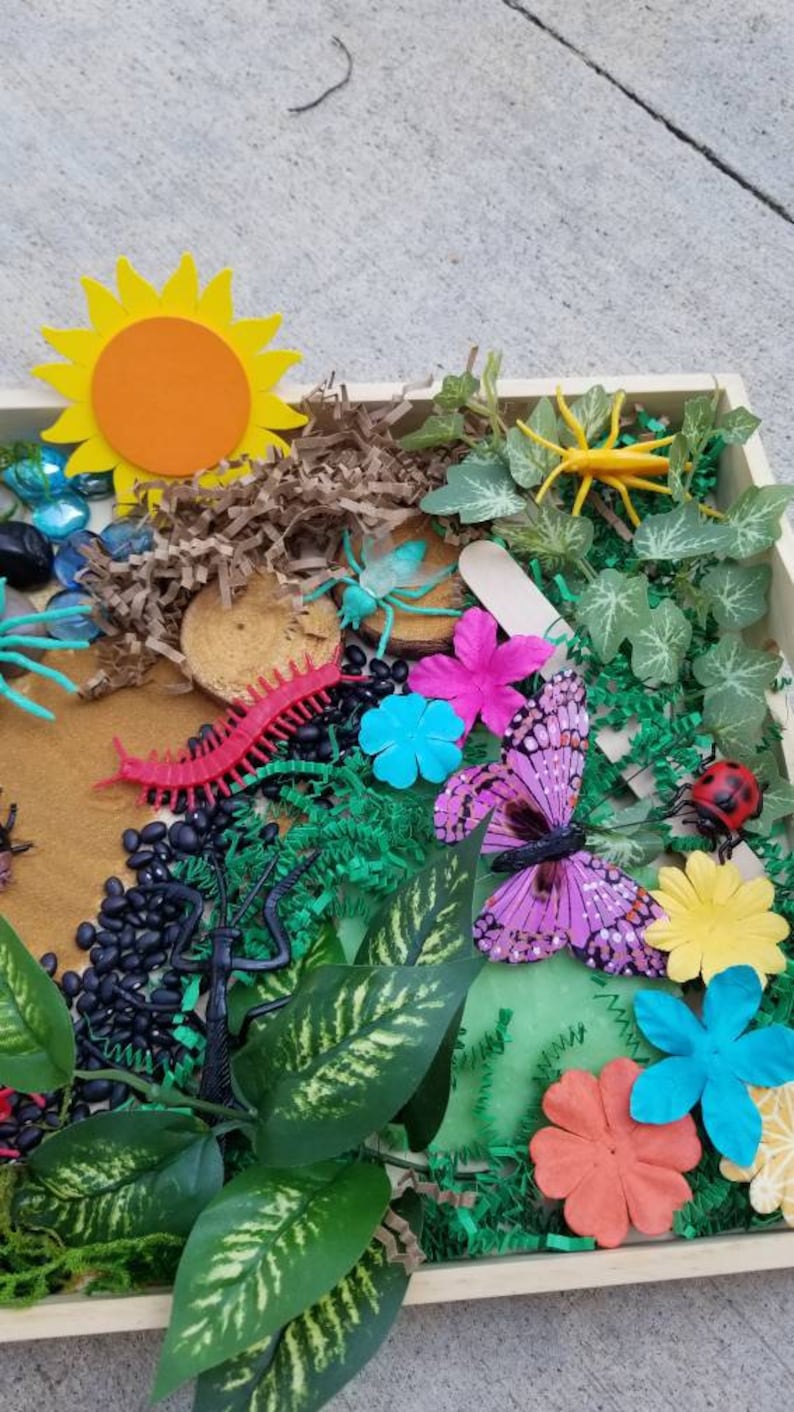 May include: A wooden tray filled with various items for a nature-themed sensory bin. The tray includes a yellow sun, green leaves, a red centipede, black beans, a purple butterfly, and colourful flowers.