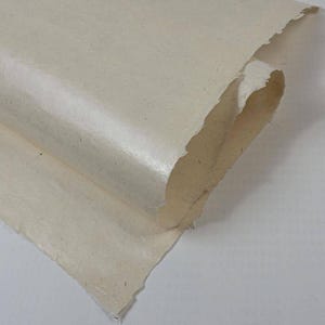 Op de afbeelding: Een vel gebroken wit, handgeschept papier met zichtbare natuurlijke vezels en onregelmatige, geschepte randen. Het papier is gedeeltelijk opgerold, waardoor de vezelige samenstelling en de organische, onregelmatige oppervlaktestructuur zichtbaar zijn.