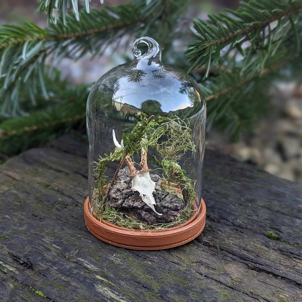 Handmade Forest Scene in Glass Dome,Forest terrarium