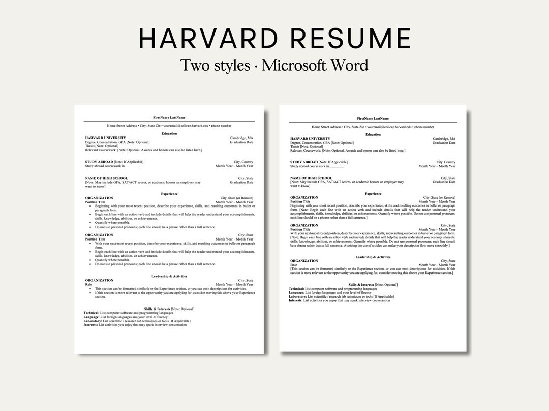 Clean Modern Resume Template Microsoft Word. Harvard Modern CV Template Clean Modern Resume Template Microsoft Word. Harvard Modern CV Template