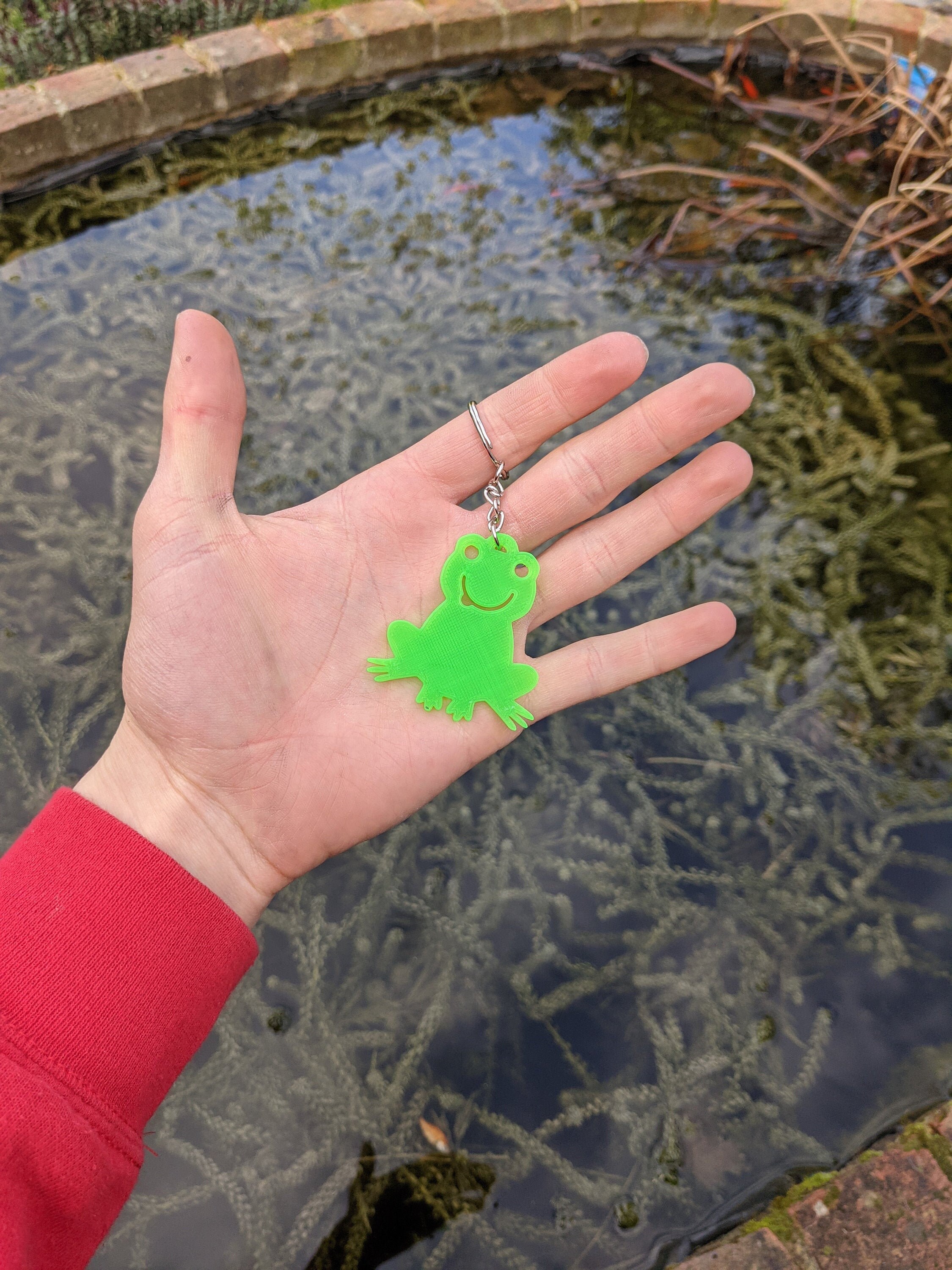 Cheeky cute Green Frog Key Chain Key Ring Ideal Gift Froggy Etsy