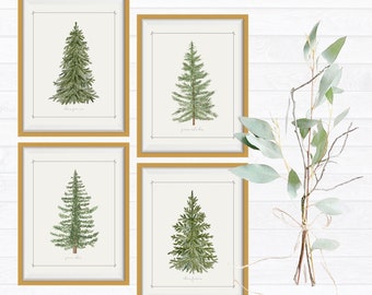 Set of 4 Printable Vintage Christmas Trees Botanical Wall Art Moody Neutral Holiday Farmhouse Decor 5x7, 8x10, 11x14, 16x20 and 20x24 sizes