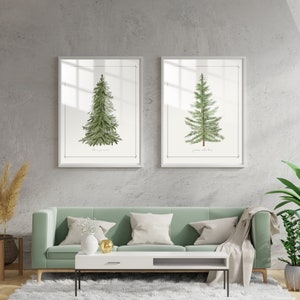 May include: Two framed wall art prints featuring botanical illustrations of evergreen trees. Each white frame contains a centered green pine tree drawing on a white background with thin black border lines and small text at the bottom of each print.