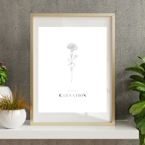 January Carnation birth flower wall art digital printable home decor kitchen bathroom bedroom living room garden plant art print image 8