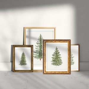 Christmas tree printable wall art set, holiday tree digital prints, festive winter home decor, printable Christmas artwork, modern Christmas wall art, holiday tree print set, seasonal digital wall decor, rustic holiday printable art, Christmas home printables, Christmas tree digital download