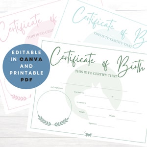 Bewerkbare geboorteaktes kitten | Set van 3 kattencertificaatsjablonen | Aanpasbaar per geboorteakte | Aangepast afdrukbaar geboortedocument