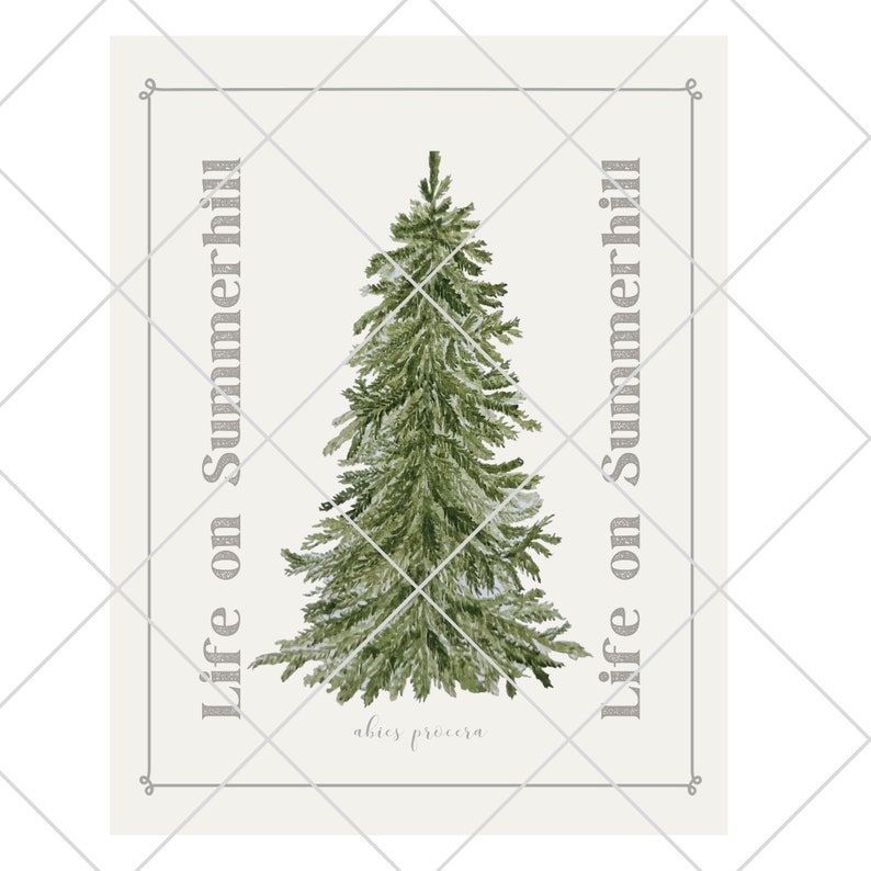 May include: A rectangular print featuring a central watercolor illustration of a green fir tree. The text Life on Summerhill is printed vertically on both sides of the tree, and the text abies procera is centered below the tree in a thin font.