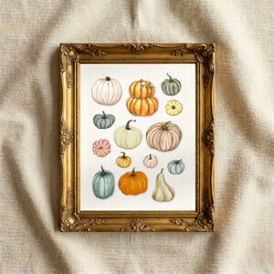 Watercolor Pumpkin Collage Wall Art Printable, Fall Harvest Pumpkin Patch Print, Rustic Farmhouse Autumn Decor, Thanksgiving Gourd Artwork