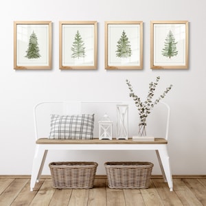May include: Four framed wall art prints featuring watercolor illustrations of evergreen trees in light wood frames, displayed above a white metal bench with a wooden seat, a plaid pillow, two white lanterns, and two woven storage baskets.