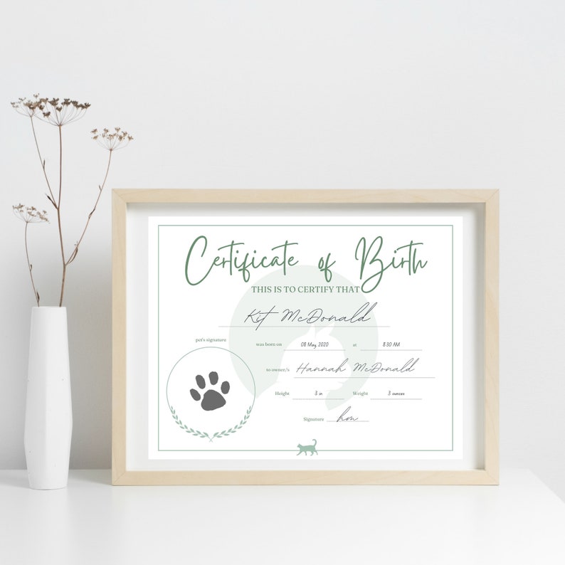 Kitten Birth Certificates | Cat Certificate Printable | Pet Birth Cert ...