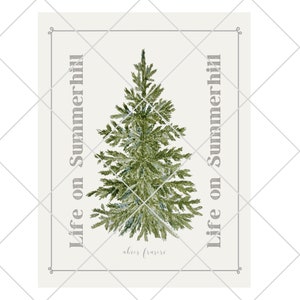 May include: A rectangular print featuring a centered green watercolor illustration of a Fraser fir tree. The text "Life on Summerhill" is printed vertically on both sides of the tree, with the botanical name "abies fraseri" centered below.