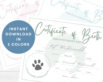 Printable Kitten Birth Certificate - Etsy