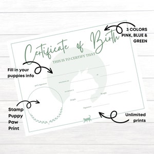 Kitten Birth Certificates Cat Certificate Printable Pet Birth Cert ...
