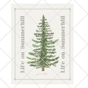 May include: A rectangular print featuring a watercolor illustration of a green pine tree centered on a light cream background. The text Life on Summerhill is printed vertically on both sides of the tree, with picea abies written at the bottom.