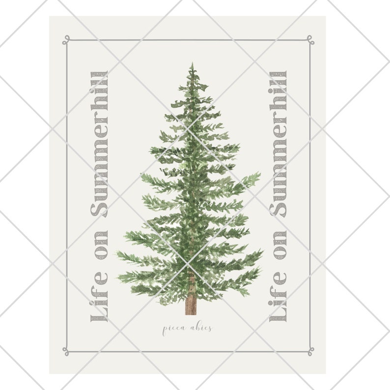 May include: A rectangular print featuring a watercolor illustration of a green pine tree centered on a light cream background. The text Life on Summerhill is printed vertically on both sides of the tree, with picea abies written at the bottom.