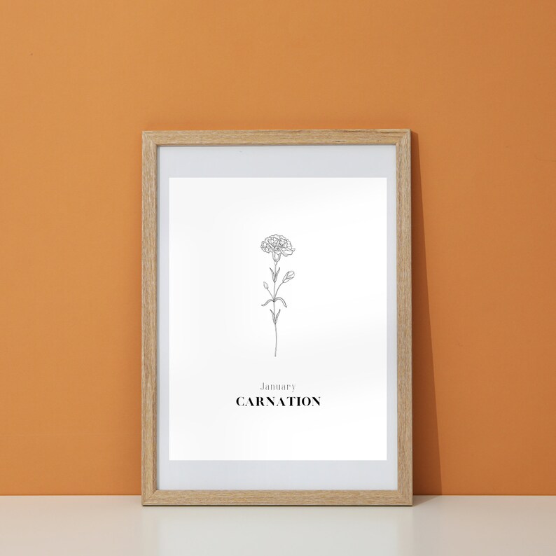 January Carnation birth flower wall art digital printable home decor kitchen bathroom bedroom living room garden plant art print image 10