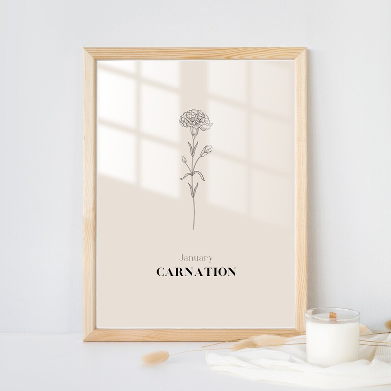 January Carnation birth flower wall art digital printable home decor kitchen bathroom bedroom living room garden plant art print image 7