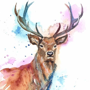 Stag Art Print
