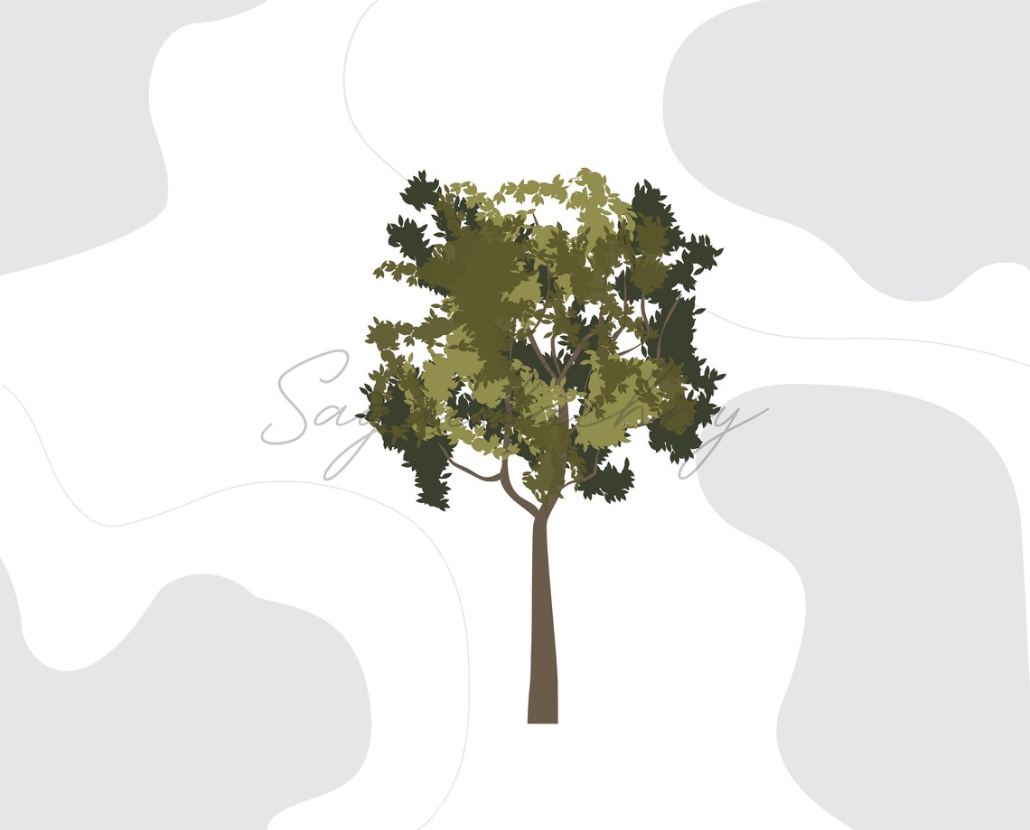 Vector Flat Trees Clipart - 20 Plant Illustration _PNG_SVG - Etsy