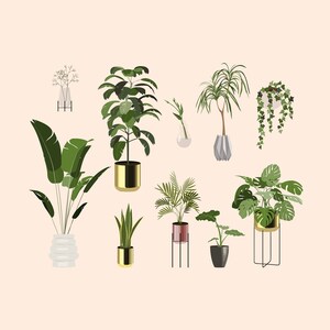 May include: A collection of potted plants in various styles and sizes, including a large leafy plant in a gold pot, a palm tree in a red pot, and a hanging plant with trailing vines. The plants are arranged on a light pink background.