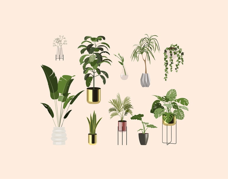 May include: A collection of potted plants in various styles and sizes, including a large leafy plant in a gold pot, a palm tree in a red pot, and a hanging plant with trailing vines. The plants are arranged on a light pink background.