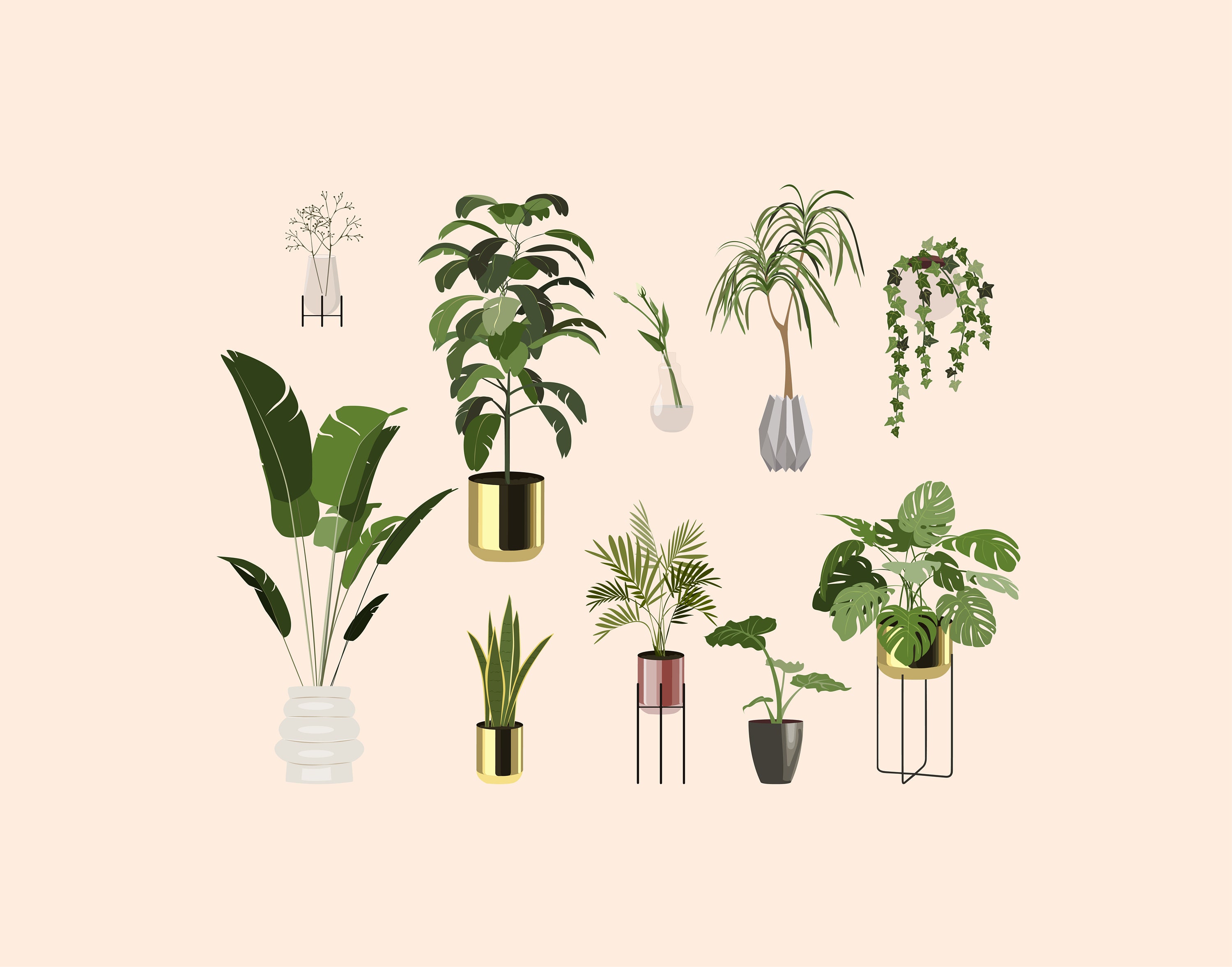 House Plant Clipart Set of House Plants Clipart Flat | Etsy