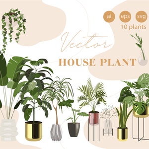 May include: A set of ten vector illustrations of house plants in pots. The plants are in various styles, including a hanging plant, a palm tree, a monstera, and a snake plant. The plants are all in gold pots, and some are on stands. The text "Vector House Plant" is at the top of the image.
