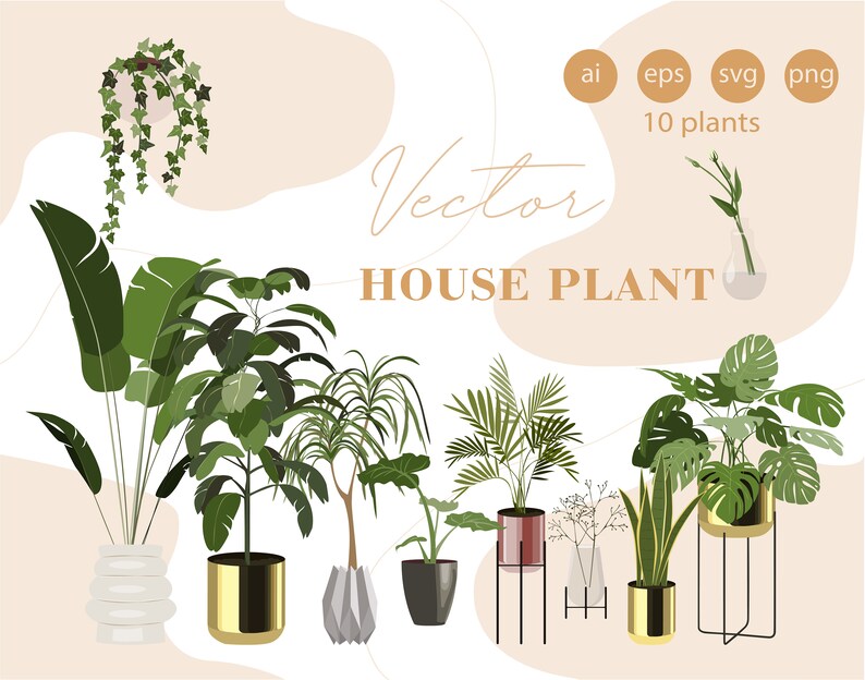 May include: A set of ten vector illustrations of house plants in pots. The plants are in various styles, including a hanging plant, a palm tree, a monstera, and a snake plant. The plants are all in gold pots, and some are on stands. The text "Vector House Plant" is at the top of the image.