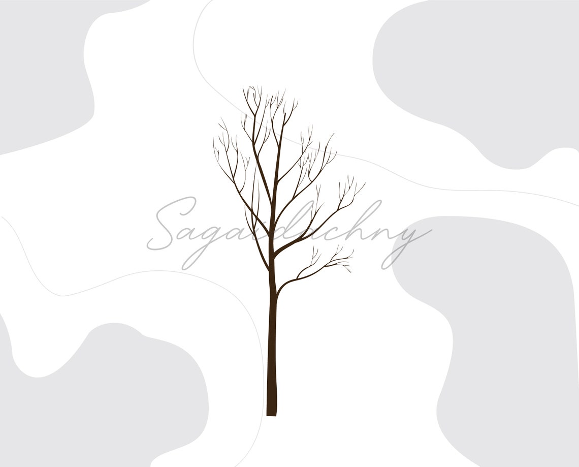 Vector Flat Trees Clipart - 20 Plant Illustration _PNG_SVG - Etsy