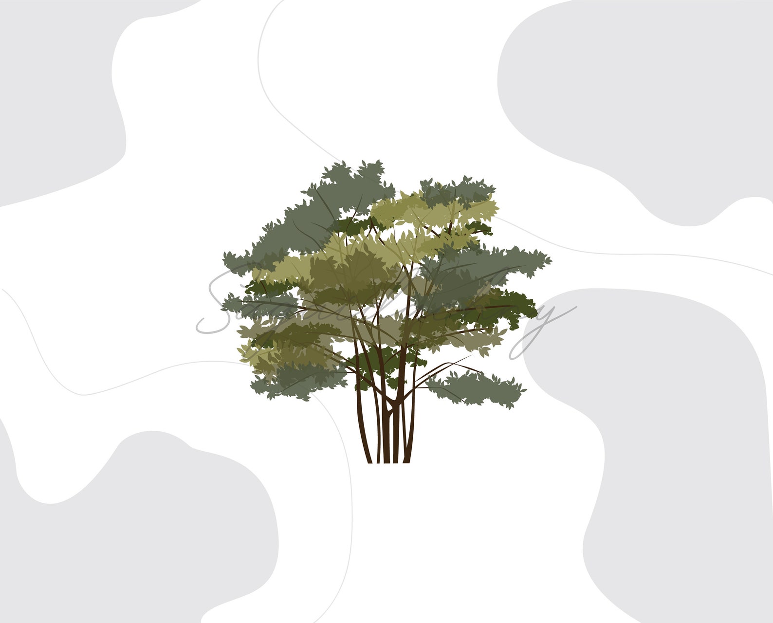 Vector Flat Trees Clipart - 20 Plant Illustration _PNG_SVG - Etsy