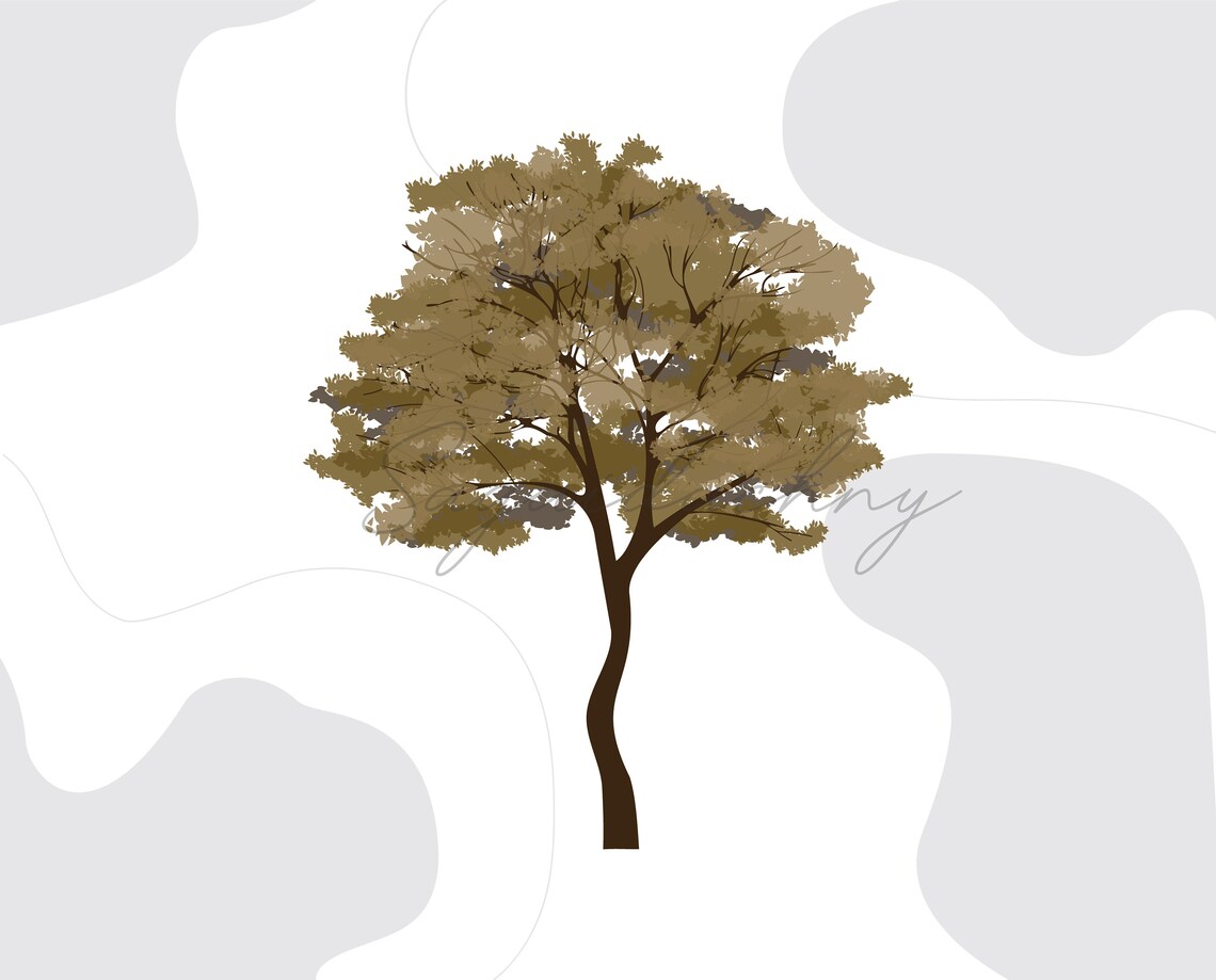 Vector Flat Trees Clipart - 20 Plant Illustration _PNG_SVG - Etsy