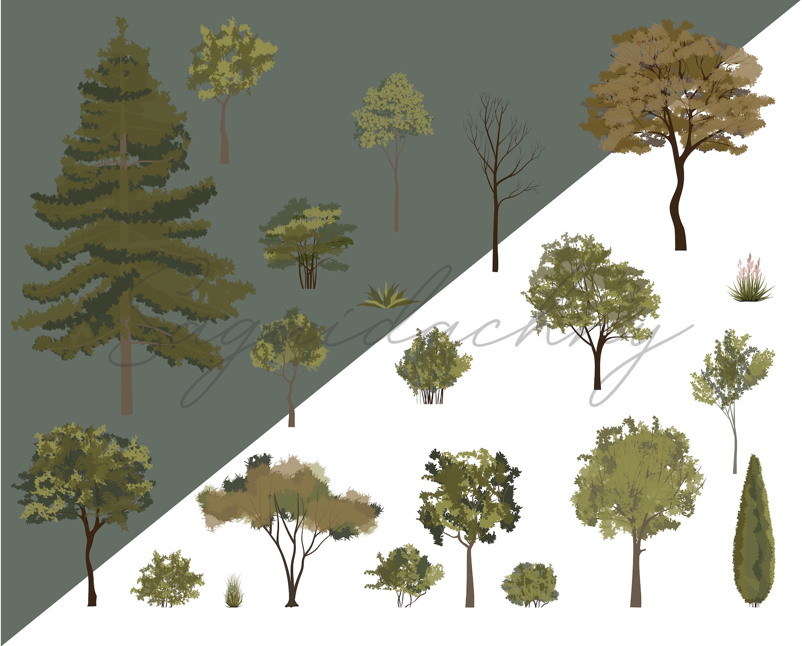 Vector Flat Trees Clipart - 20 Plant Illustration _PNG_SVG - Etsy