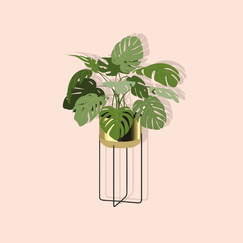 May include: A potted plant with large green leaves in a gold pot on a black metal stand against a light pink background.