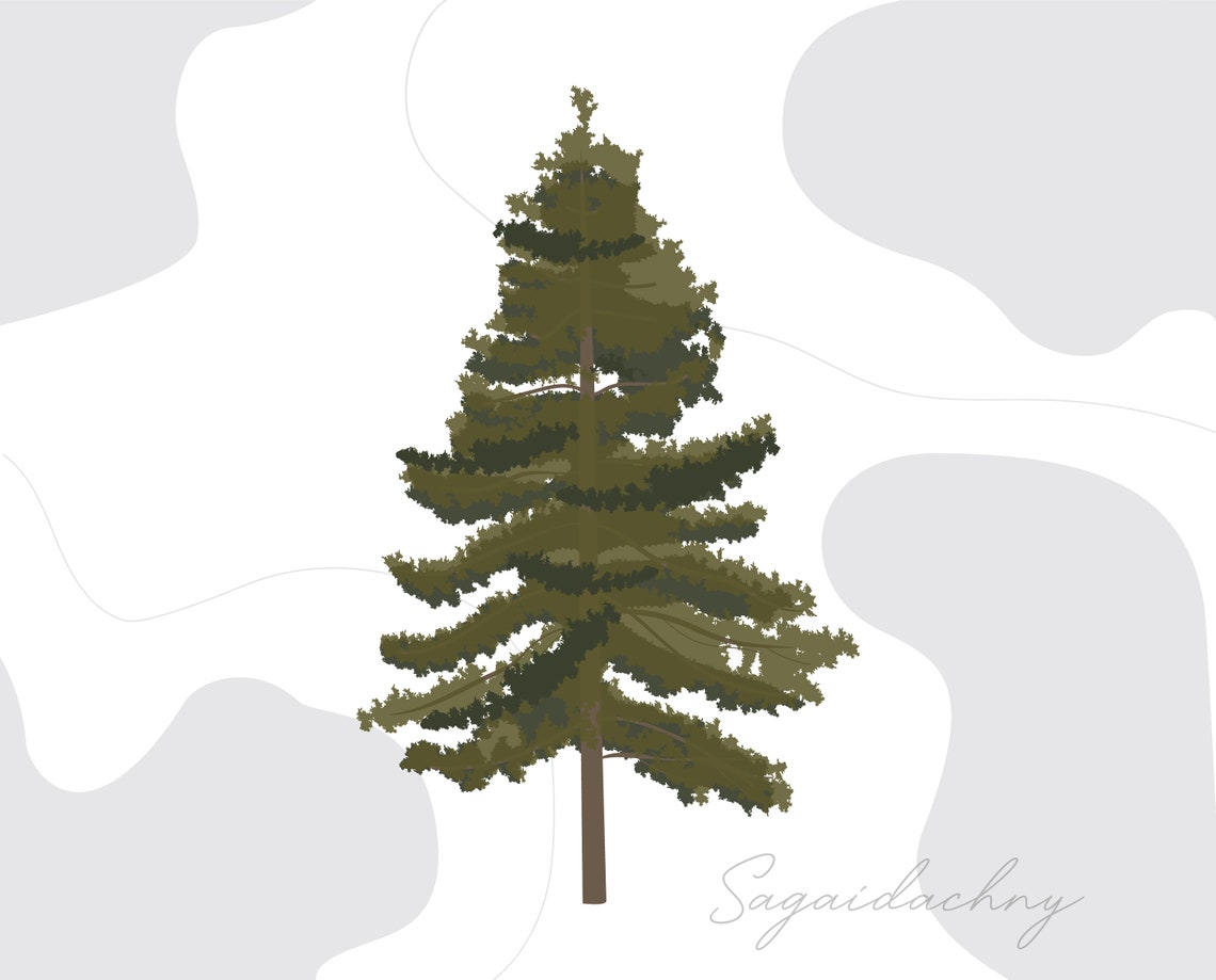 Vector Flat Trees Clipart - 20 Plant Illustration _PNG_SVG - Etsy