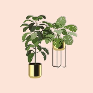 May include: Two potted plants with green leaves in gold pots. The plant on the right is on a black metal stand.