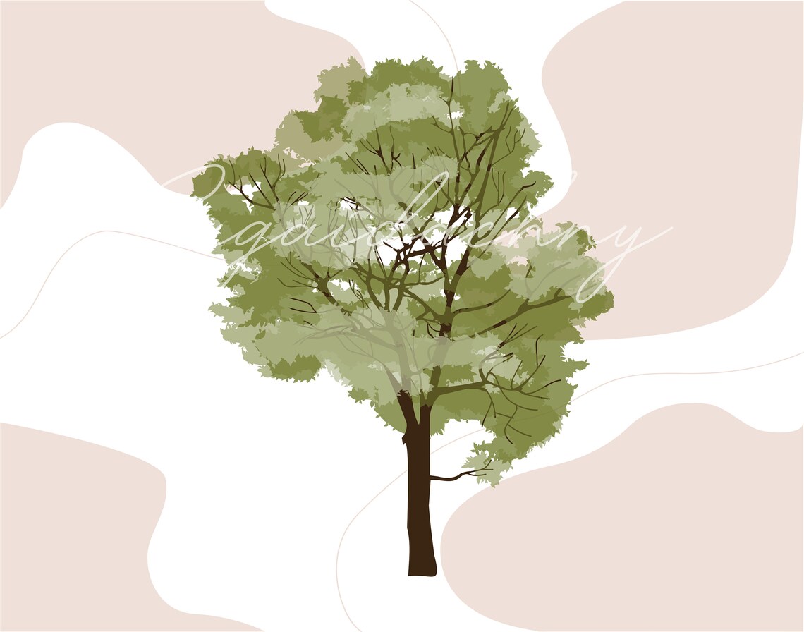 Vector Flat Trees Clipart - 8 Plant Illustration _PNG_SVG - Etsy