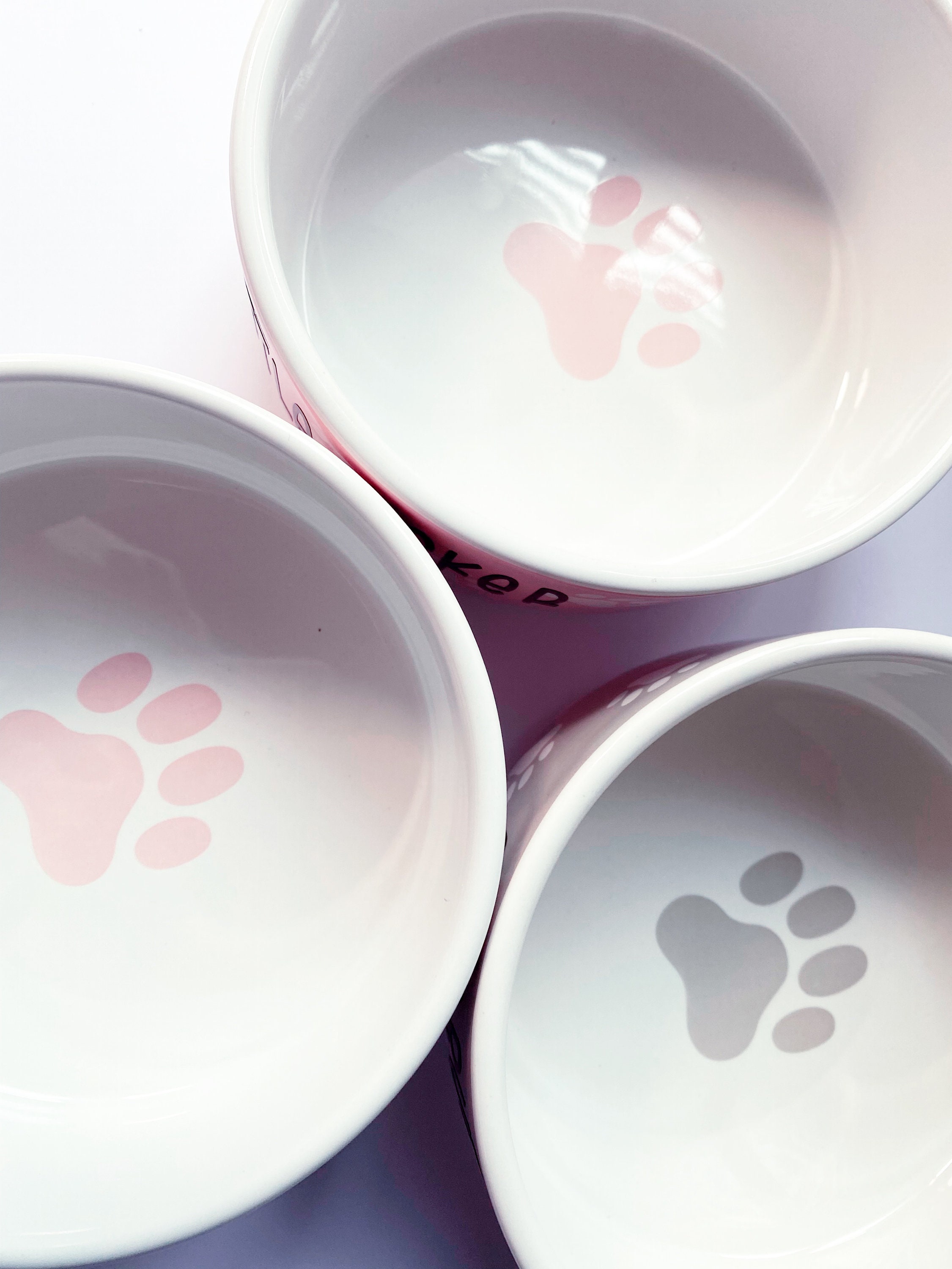 Rush's Paw Print: Non-Slip Dog Bowls - Fuzzy Puppy Pet Products
