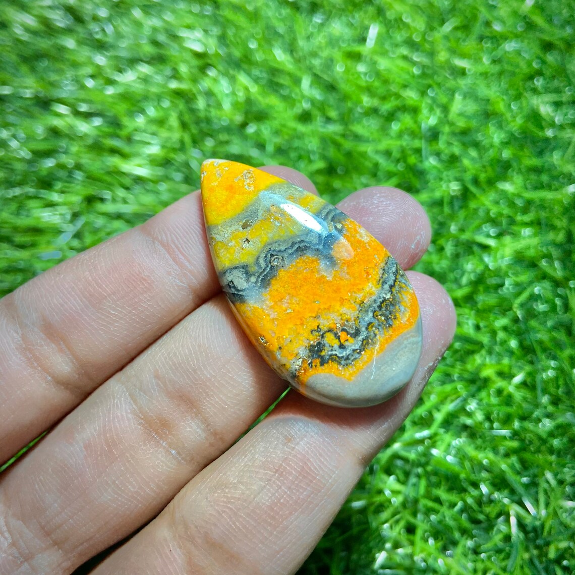 bumble bee jasper bumble bee jasper