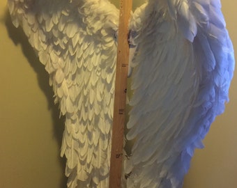 Victoria’s Secret style wings