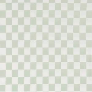 May include: A white and light green checkered pattern background.