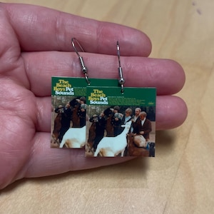 The Beach Boys Pet Sounds album earrings