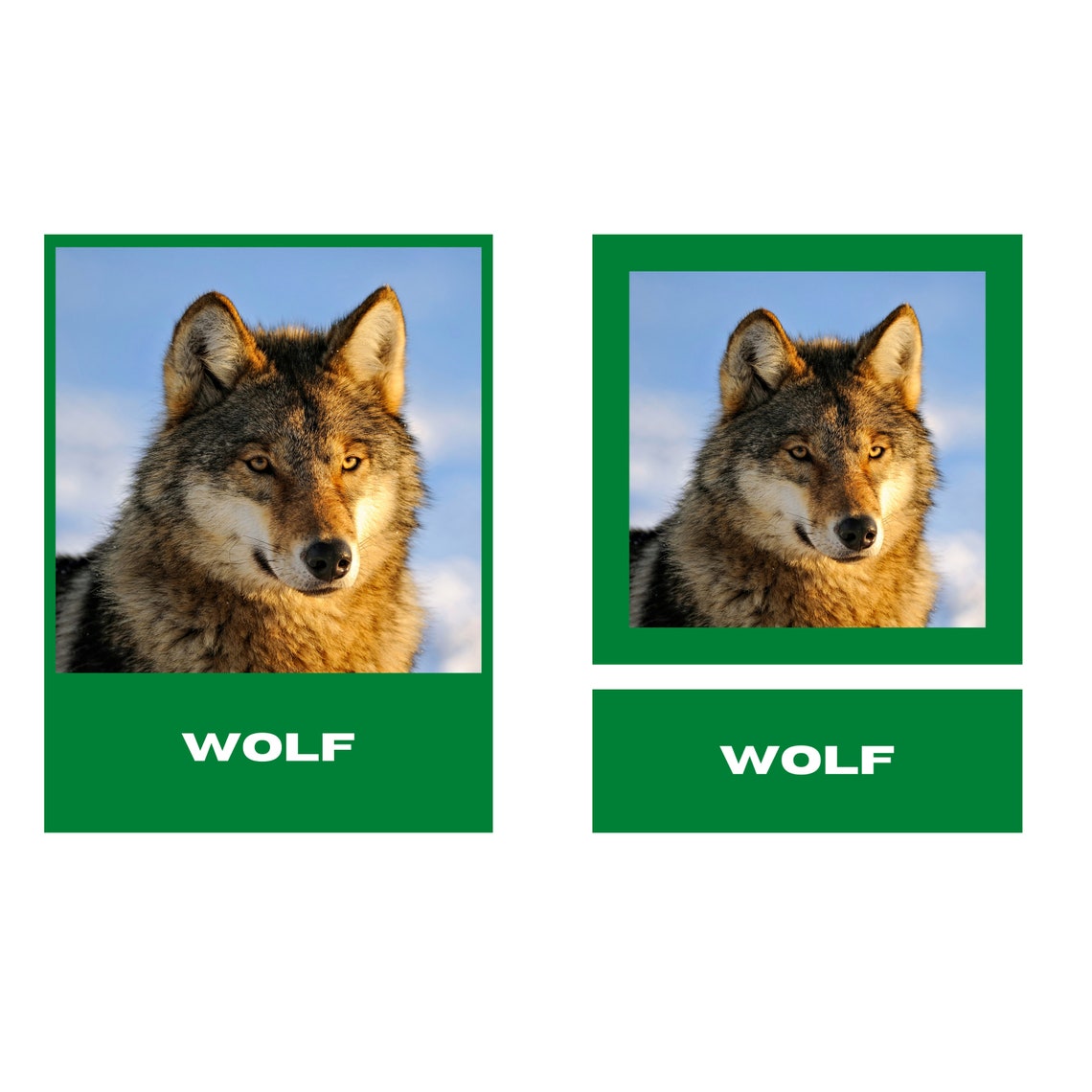 Montessori Flashcards NOCTURNAL ANIMALS Montessori Etsy