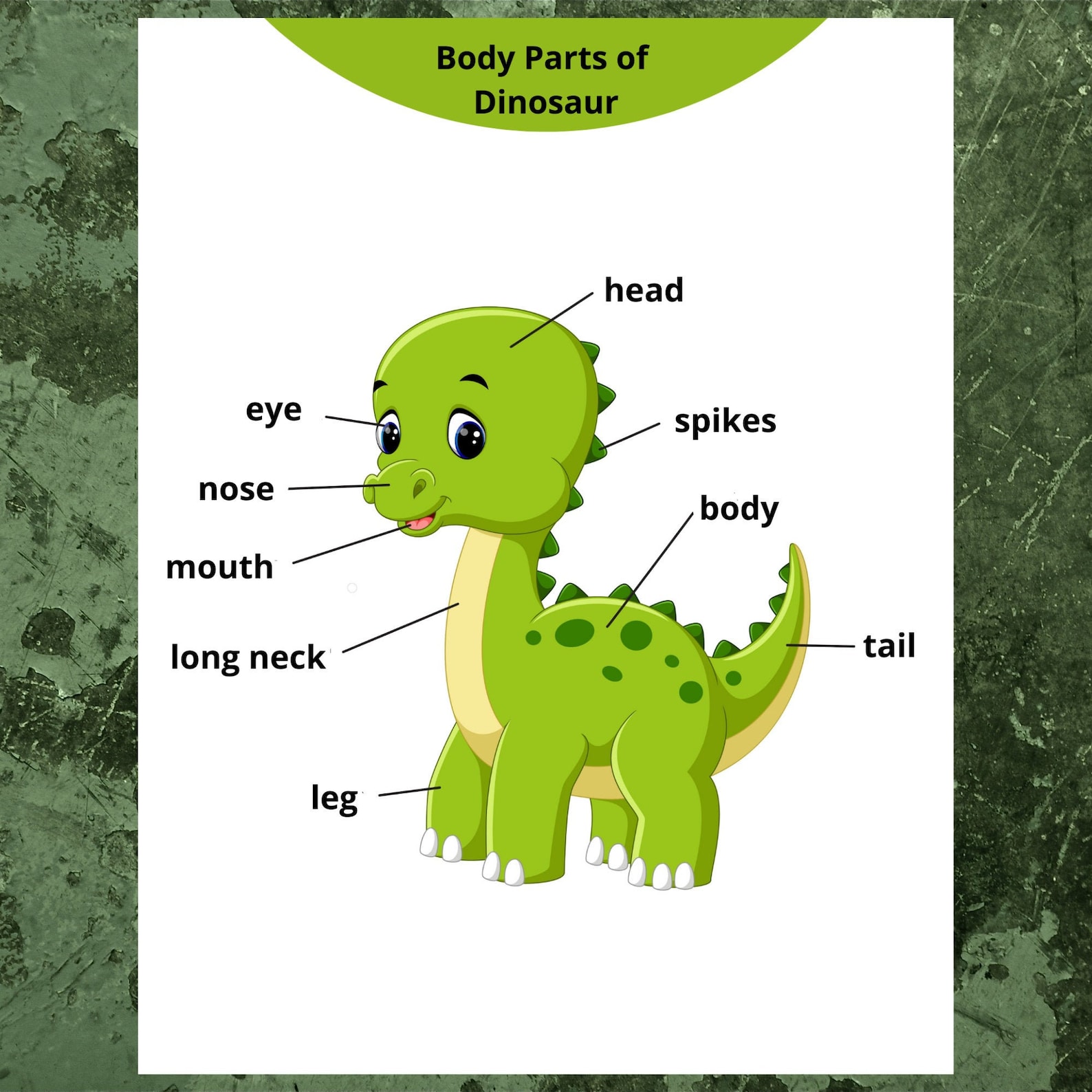 Body Parts Dinosaur Matching Game Preschool Busy Book External - Etsy