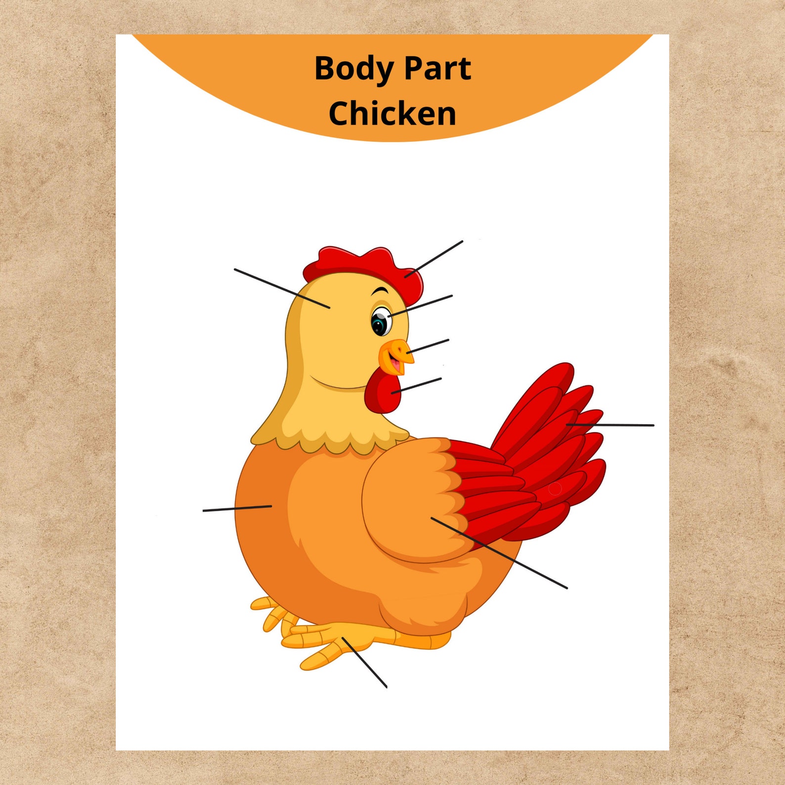 Montessori Body Part Chicken Preschool Busy Book Matching Game - Etsy