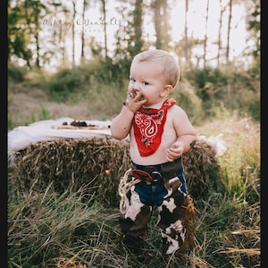 6 PIECES. My First Rodeo Cowboy Birthday Outfit Party Set Baby Boy Cowboy CAKE SMASH Diaper cover Outfit Baby Chaps My First Rodeo