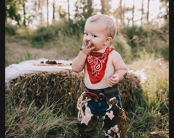 6 PIECES. My First Rodeo Cowboy Birthday Outfit Party Set Baby Boy Cowboy CAKE SMASH Diaper cover Outfit Baby Chaps My First Rodeo