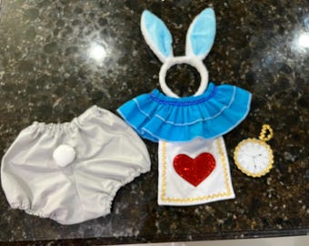 Wonderland Characters White Rabbit Alice In Wonderland Baby