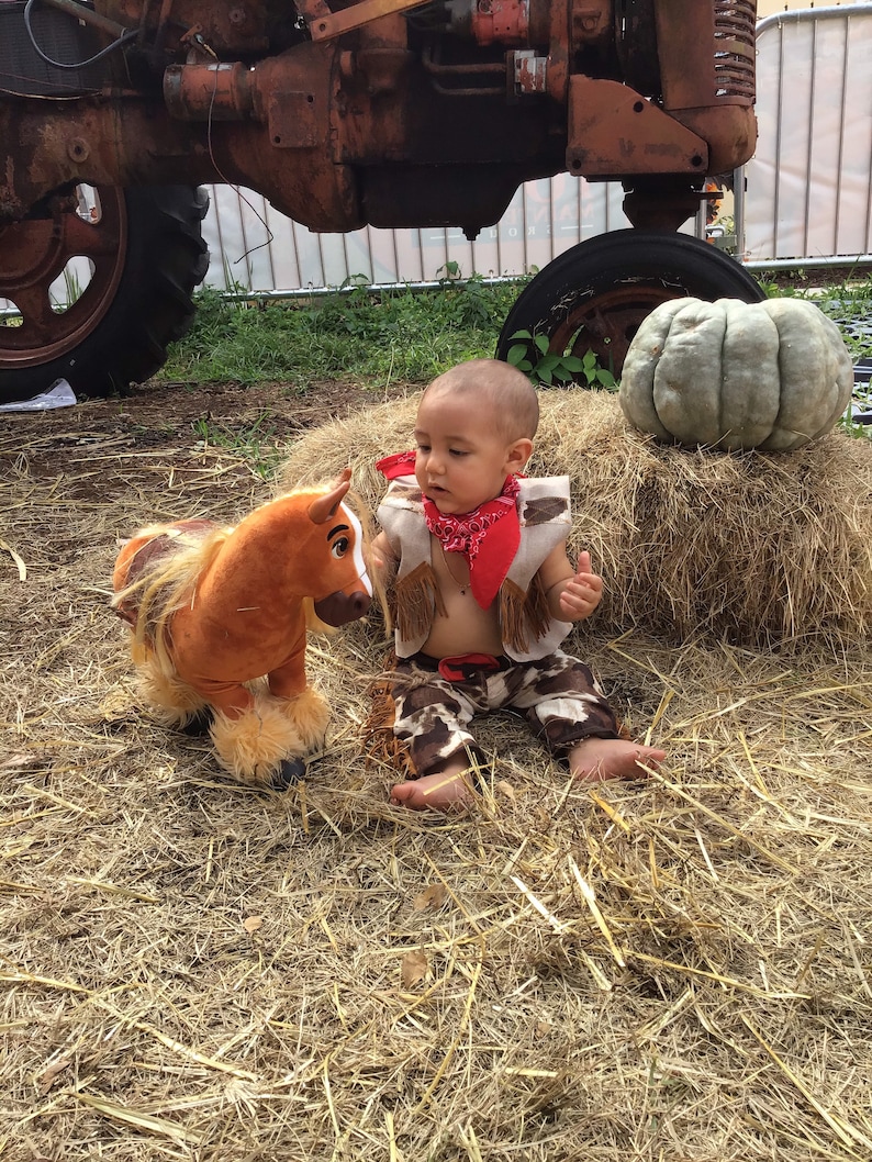 May include: A young child dressed in a cowboy costume sits on a bale of hay with a brown plush horse toy. The child is wearing a red bandana, a brown vest, and jeans with a cowboy print. The child is looking at the horse toy.